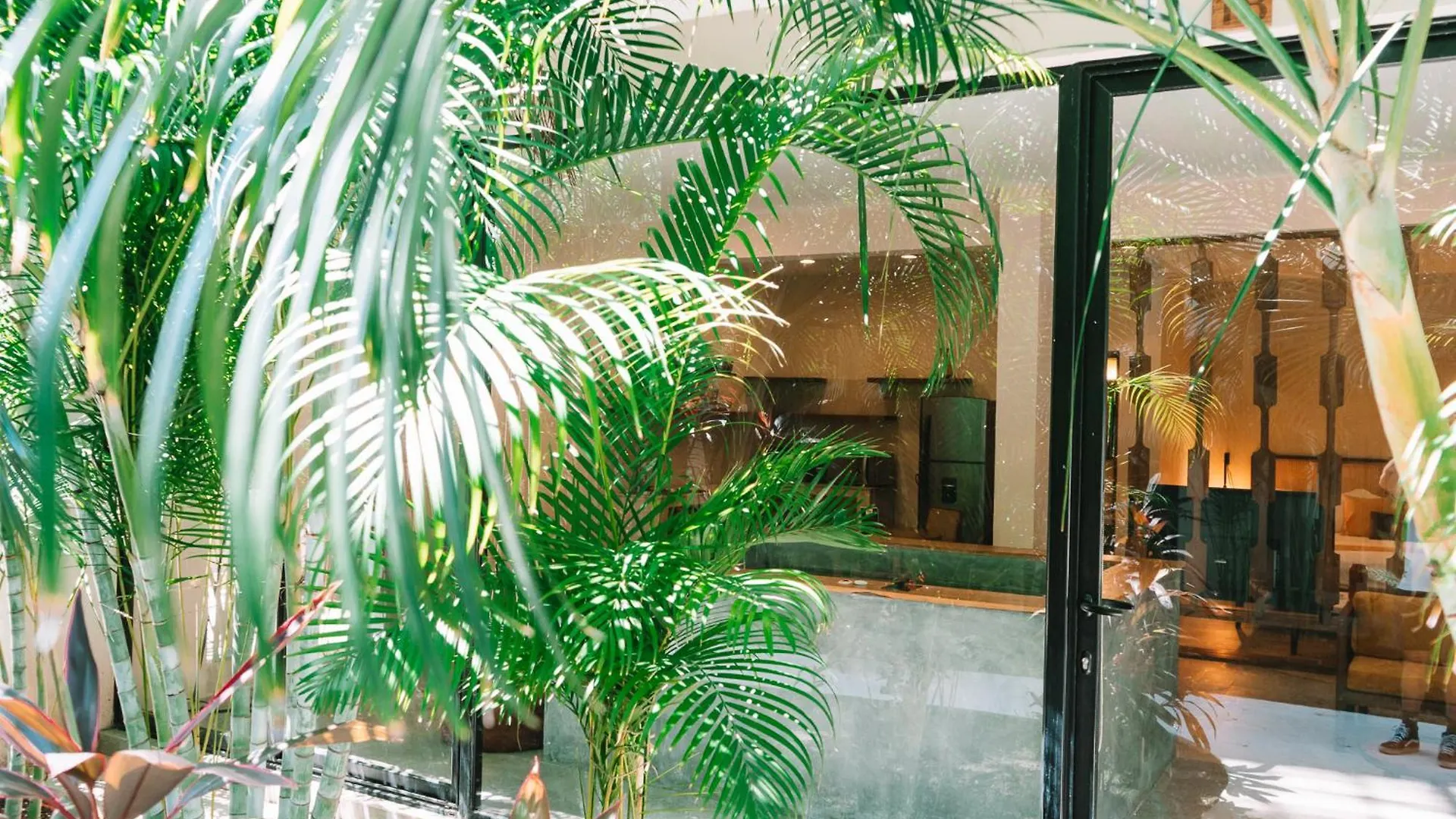 Aparthotel Xp Tulum By Dream Vacay Messico