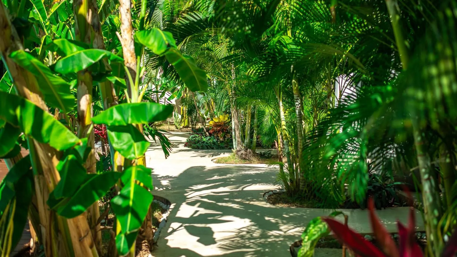 アパートホテル Xp Tulum By Dream Vacayアパートホテル メキシコ